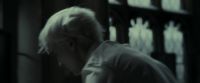 EdP-Potterish9366.jpg
