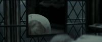EdP-Potterish9380.jpg