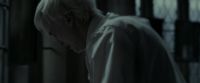 EdP-Potterish9396.jpg