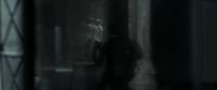 EdP-Potterish9418.jpg