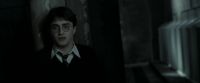 EdP-Potterish9424.jpg
