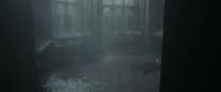 EdP-Potterish9477.jpg