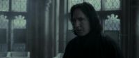 EdP-Potterish9527.jpg