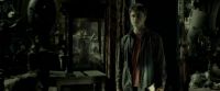EdP-Potterish9719.jpg