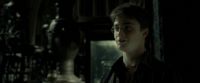 EdP-Potterish9822.jpg