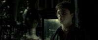 EdP-Potterish9824.jpg