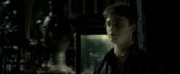 EdP-Potterish9825.jpg