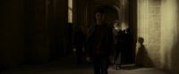 EdP-Potterish9827.jpg