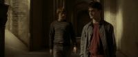 EdP-Potterish9835.jpg