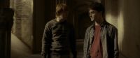 EdP-Potterish9840.jpg