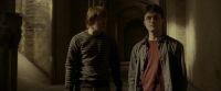 EdP-Potterish9842.jpg
