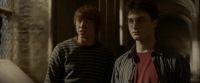 EdP-Potterish9855.jpg