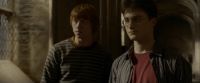 EdP-Potterish9858.jpg
