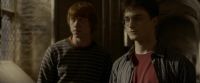 EdP-Potterish9860.jpg