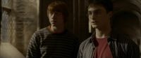 EdP-Potterish9861.jpg