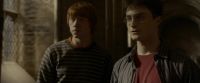 EdP-Potterish9862.jpg