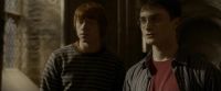 EdP-Potterish9863.jpg