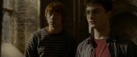 EdP-Potterish9864.jpg