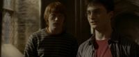 EdP-Potterish9865.jpg