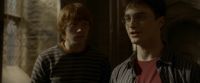EdP-Potterish9867.jpg