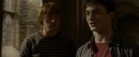 EdP-Potterish9868.jpg