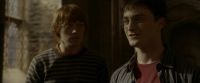 EdP-Potterish9869.jpg