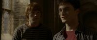 EdP-Potterish9870.jpg