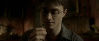 EdP-Potterish9879.jpg