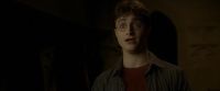 EdP-Potterish9953.jpg