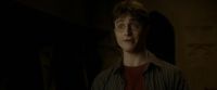 EdP-Potterish9954.jpg