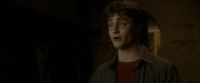 EdP-Potterish9960.jpg