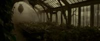 EdP-Potterish9978.jpg
