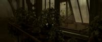 EdP-Potterish9982.jpg