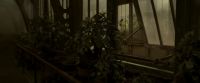 EdP-Potterish9983.jpg