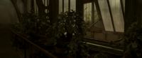 EdP-Potterish9984.jpg