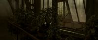 EdP-Potterish9985.jpg