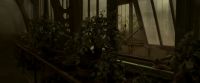 EdP-Potterish9986.jpg
