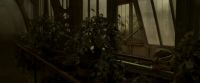 EdP-Potterish9987.jpg