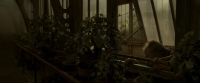EdP-Potterish9989.jpg