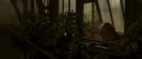 EdP-Potterish9991.jpg