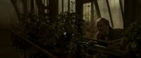 EdP-Potterish9996.jpg