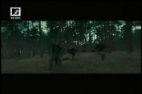 Frame1241~0.jpeg