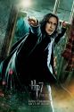 H7P2-Banner-Action_Snape_alta.jpg