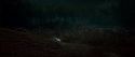 HP7-2-Potterish-TeaserTrailer-271.jpg