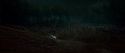 HP7-2-Potterish-TeaserTrailer-273.jpg