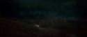 HP7-2-Potterish-TeaserTrailer-274.jpg