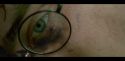 HP72-Potterish-CenaInicial-20.jpg