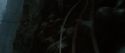 HP72-TrailerInternacional-Potterish-138.jpg