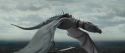 HP72-TrailerInternacional-Potterish-167.jpg