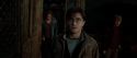 HP72-TrailerInternacional-Potterish-221.jpg
